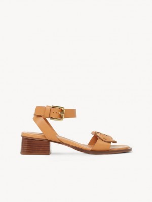 Sandalias Chloe Chany High-heel Marrom | CHE-SR14828